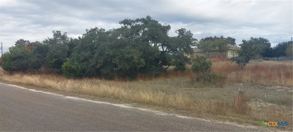 106 Jacob Dearing Blanco, TX 78606