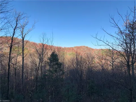 TBD (Lot 19) Wolf Den Lane