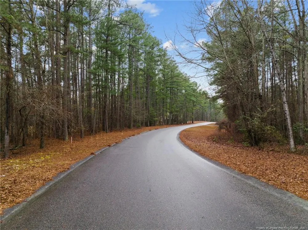 221 Pebble Drive West End, NC 27376