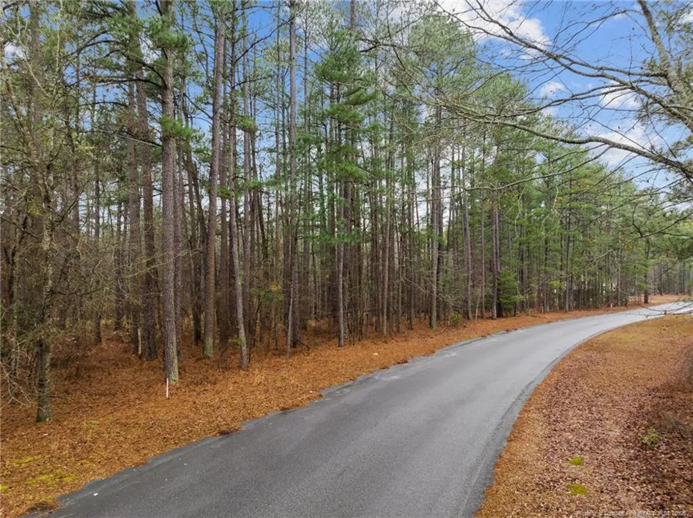 221 Pebble Drive West End, NC 27376