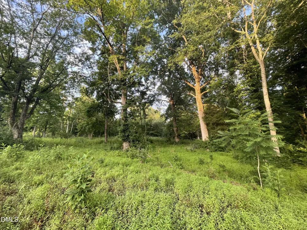 Lot 11 Gallant Fox Crossing Chapel Hill, NC 27516