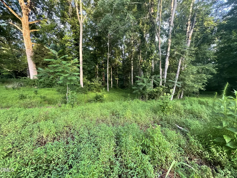 Lot 11 Gallant Fox Crossing Chapel Hill, NC 27516