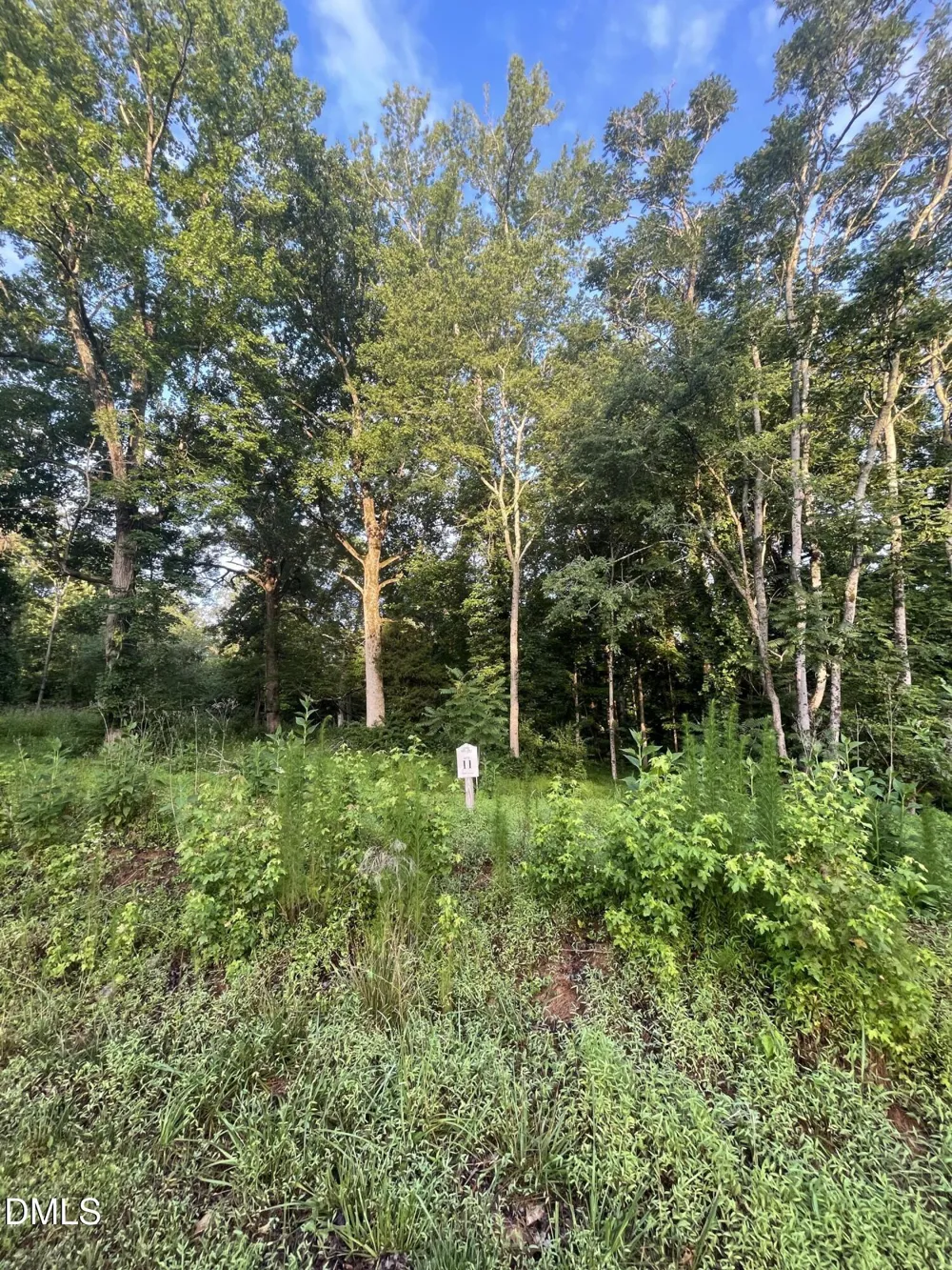 Lot 11 Gallant Fox Crossing Chapel Hill, NC 27516