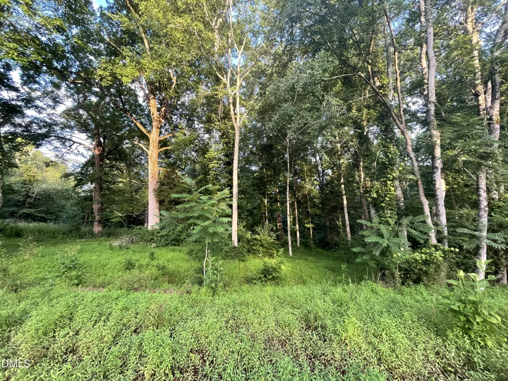 Lot 11 Gallant Fox Crossing Chapel Hill, NC 27516