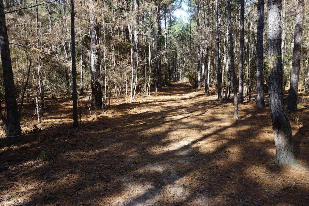 County Road 352 Palestine, TX 75803