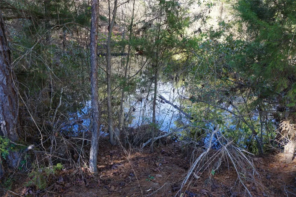 County Road 352 Palestine, TX 75803