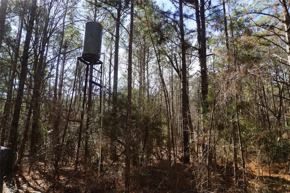 County Road 352 Palestine, TX 75803