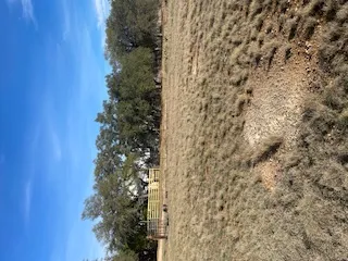7371 Miller Creek Loop Loop Johnson City, TX 78636
