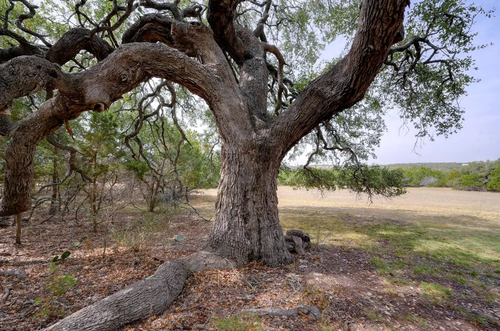 6573 Ranch Road 165 Blanco, TX 78606