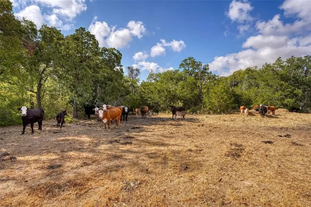 8 CR 450 Thorndale, TX 76577