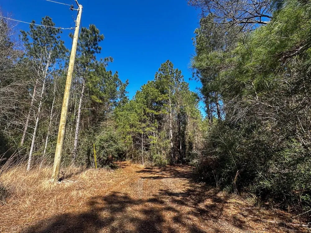 1 Lyons Cemetery Road Moscow, TX 75960