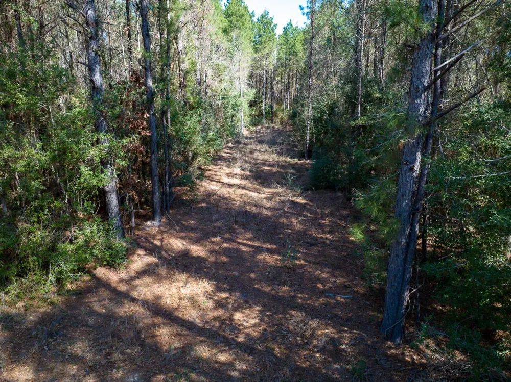 1 Lyons Cemetery Road Moscow, TX 75960