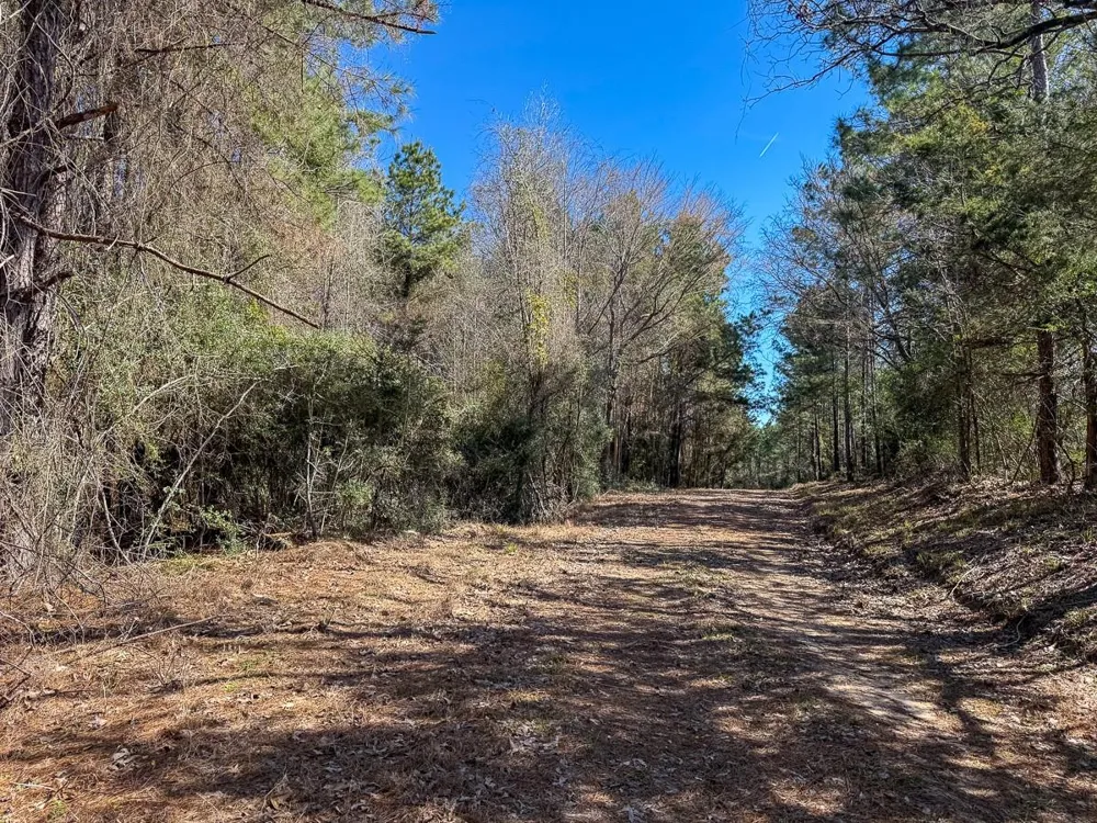 1 Lyons Cemetery Road Moscow, TX 75960