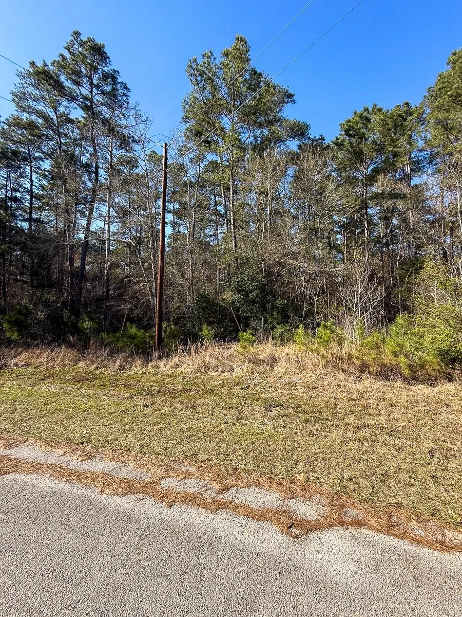 1 Lyons Cemetery Road Moscow, TX 75960