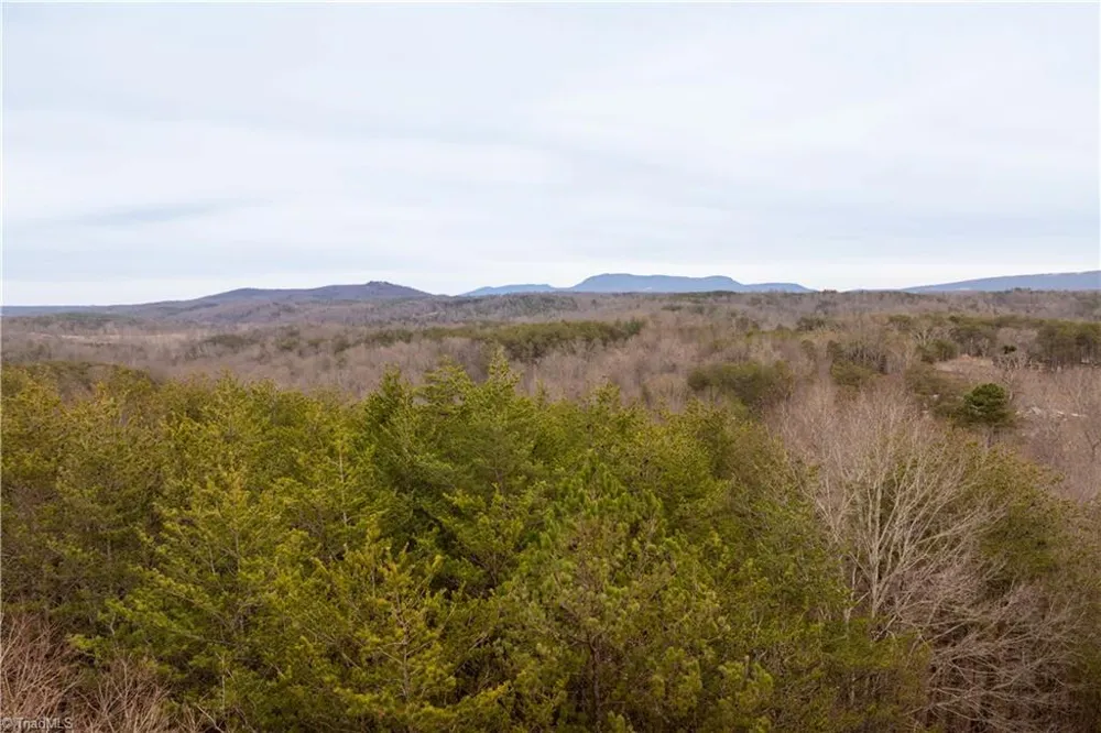 0 Dearmin Road Westfield, NC 27053