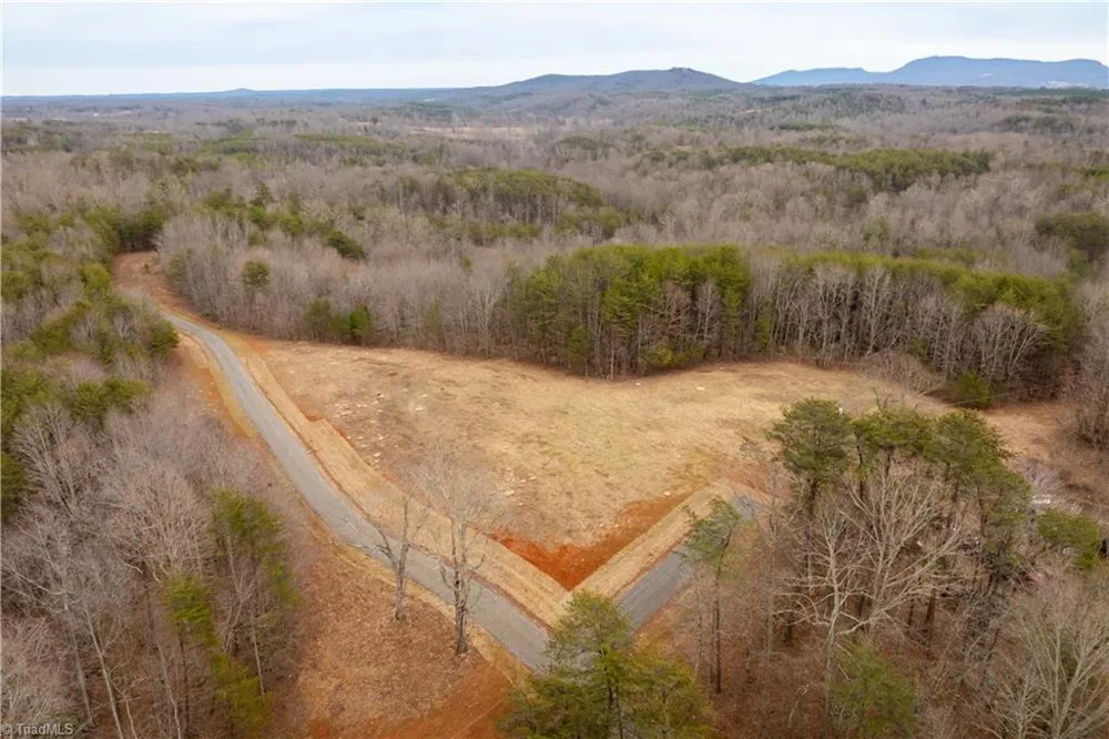 0 Dearmin Road Westfield, NC 27053