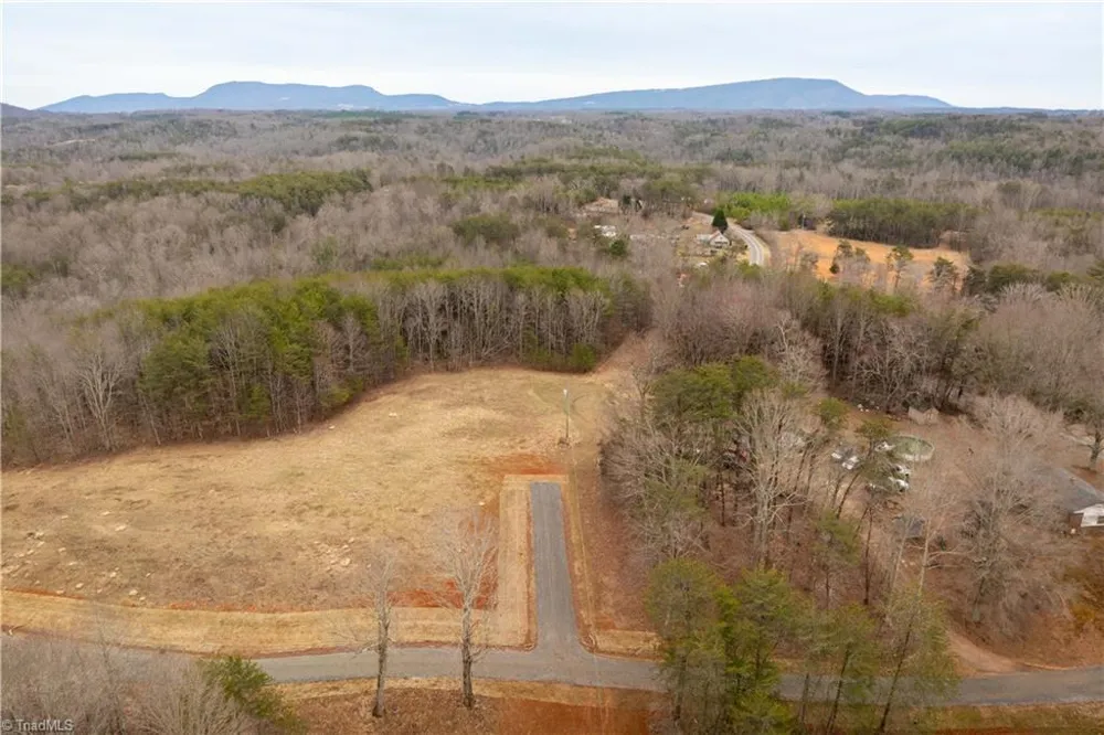 0 Dearmin Road Westfield, NC 27053