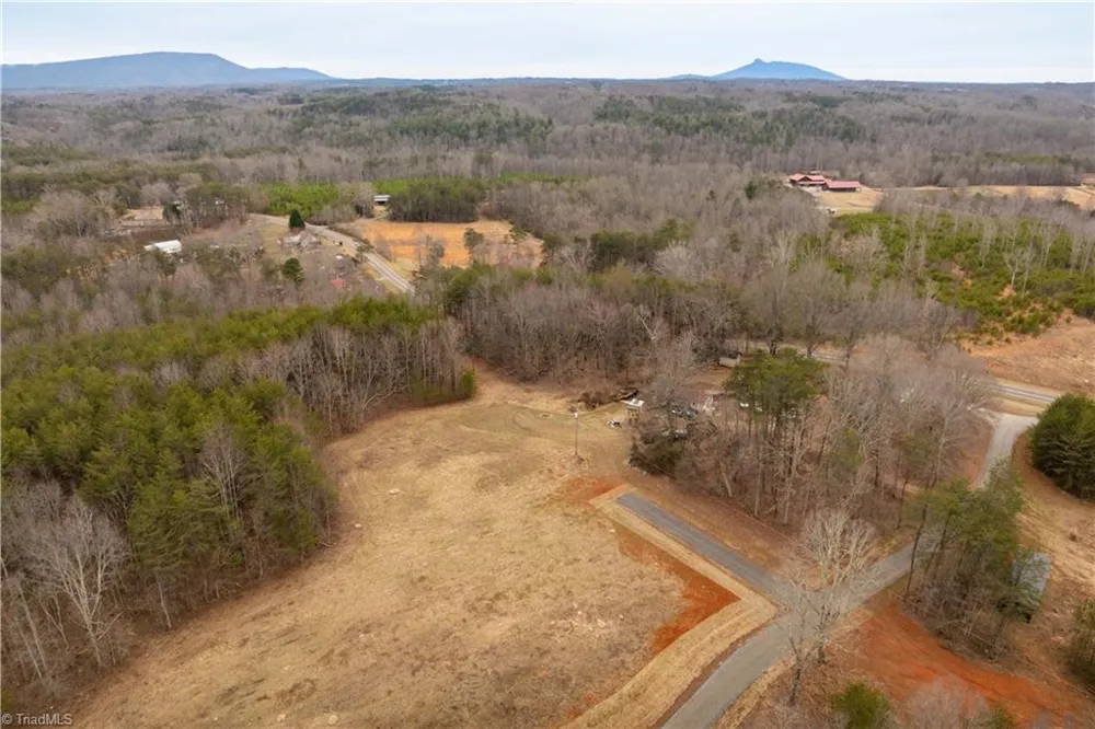 0 Dearmin Road Westfield, NC 27053