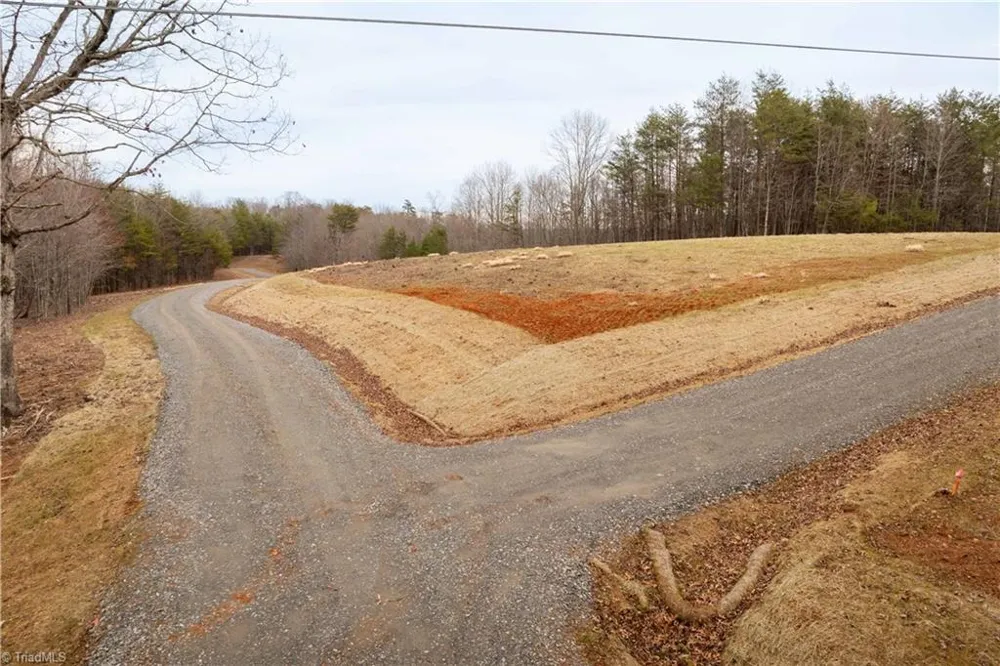 0 Dearmin Road Westfield, NC 27053