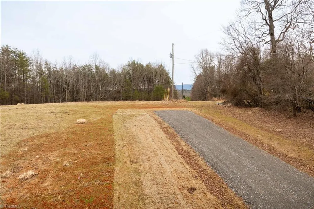 0 Dearmin Road Westfield, NC 27053