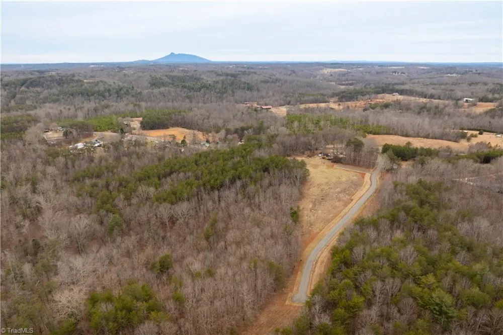 0 Dearmin Road Westfield, NC 27053
