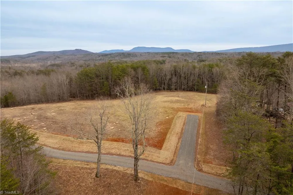 0 Dearmin Road Westfield, NC 27053
