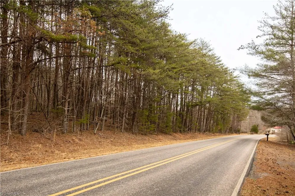 0 Dearmin Road Westfield, NC 27053