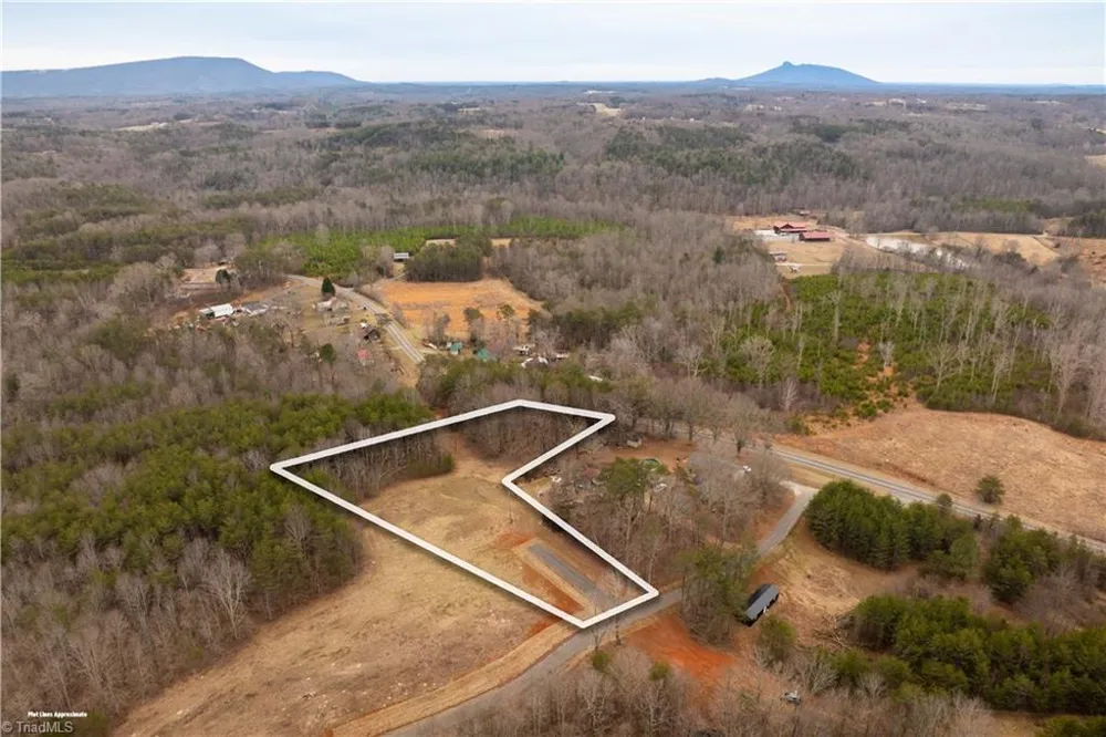 0 Dearmin Road Westfield, NC 27053