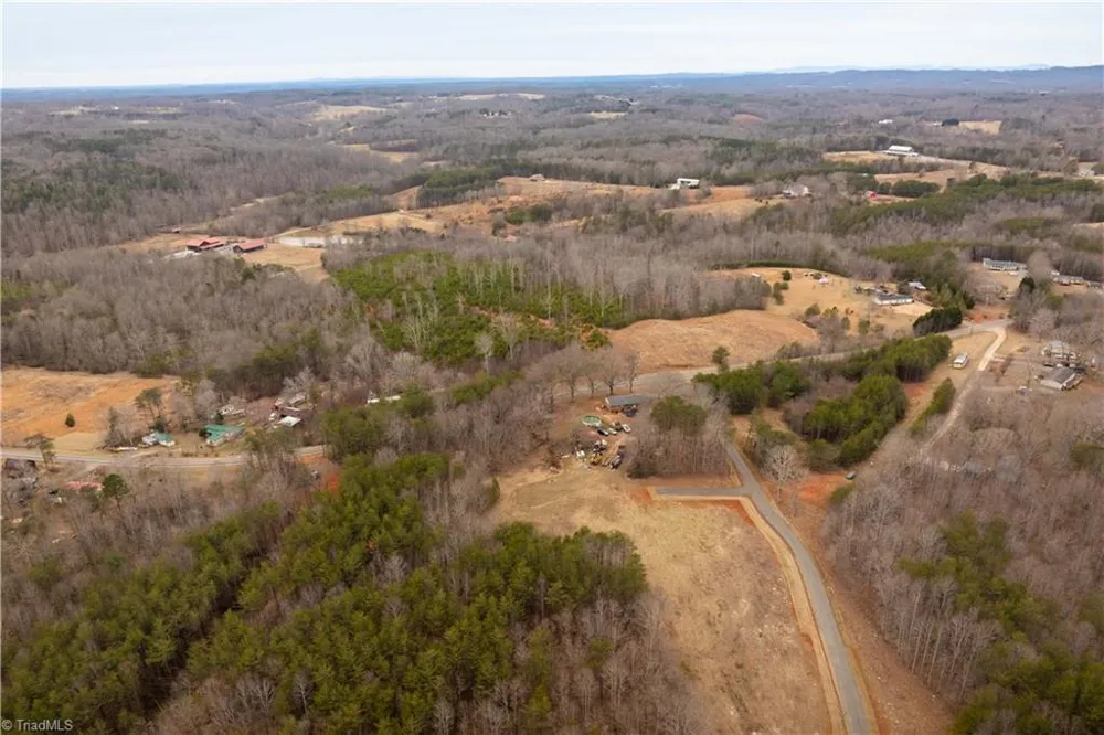 0 Dearmin Road Westfield, NC 27053