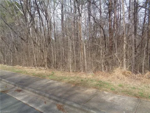 91 lot Haynoke Drive