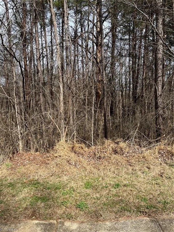 Lot 93 Haynoke Drive Graham, NC 27253