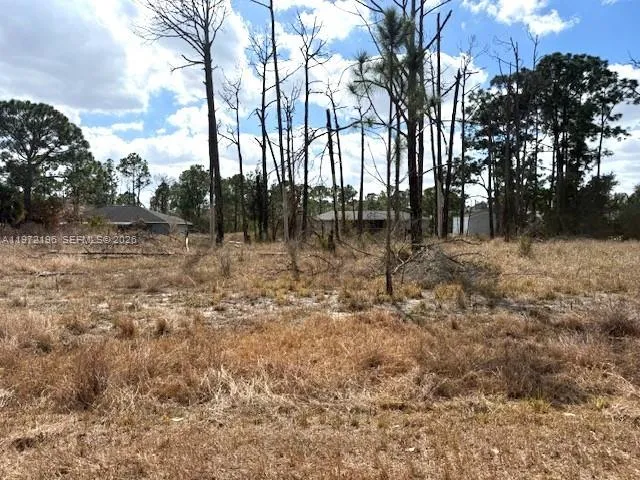 245 Moon River Avenue Lake Placid, FL 33852