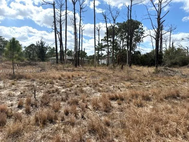 245 Moon River Avenue Lake Placid, FL 33852