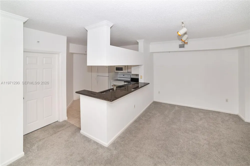 17150 Bay Rd #2911 Sunny Isles Beach, FL 33160