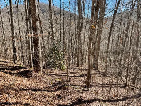 Deep Gap View