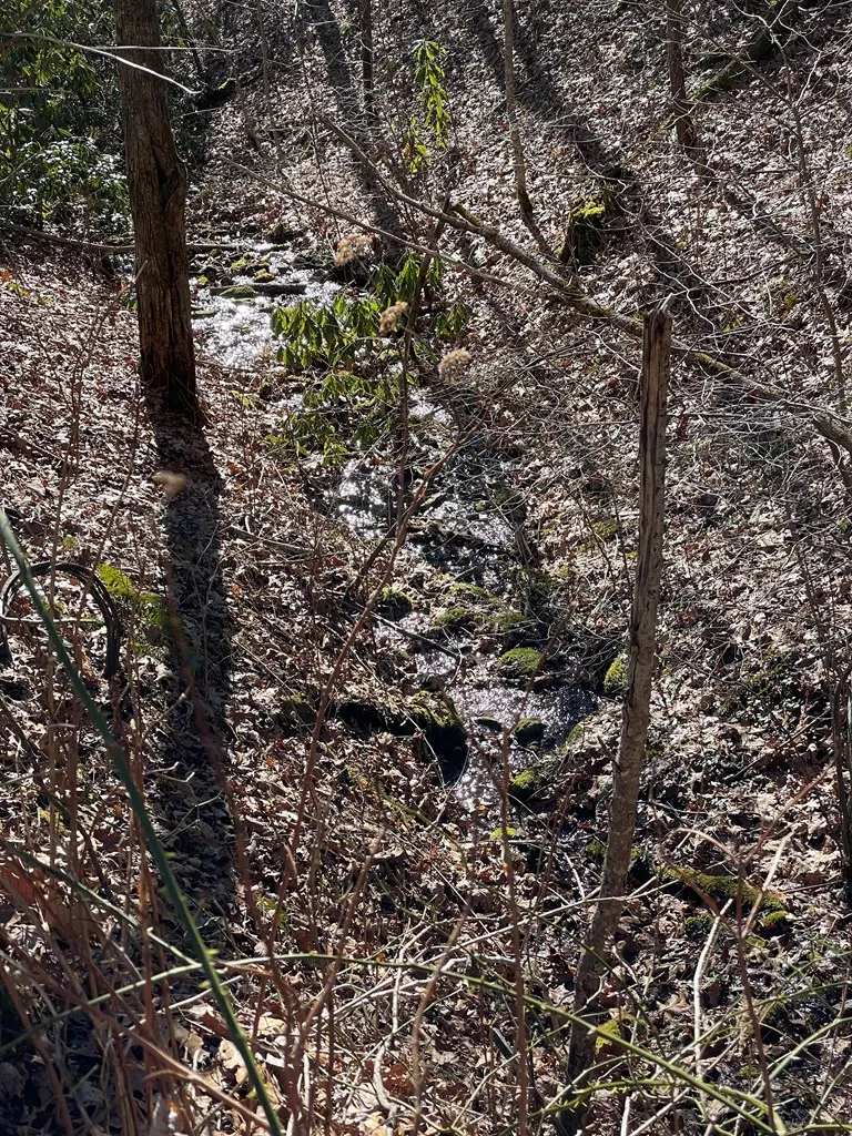 Deep Gap View Whittier, NC 28789