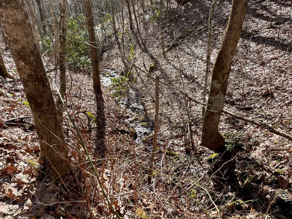 Deep Gap View Whittier, NC 28789