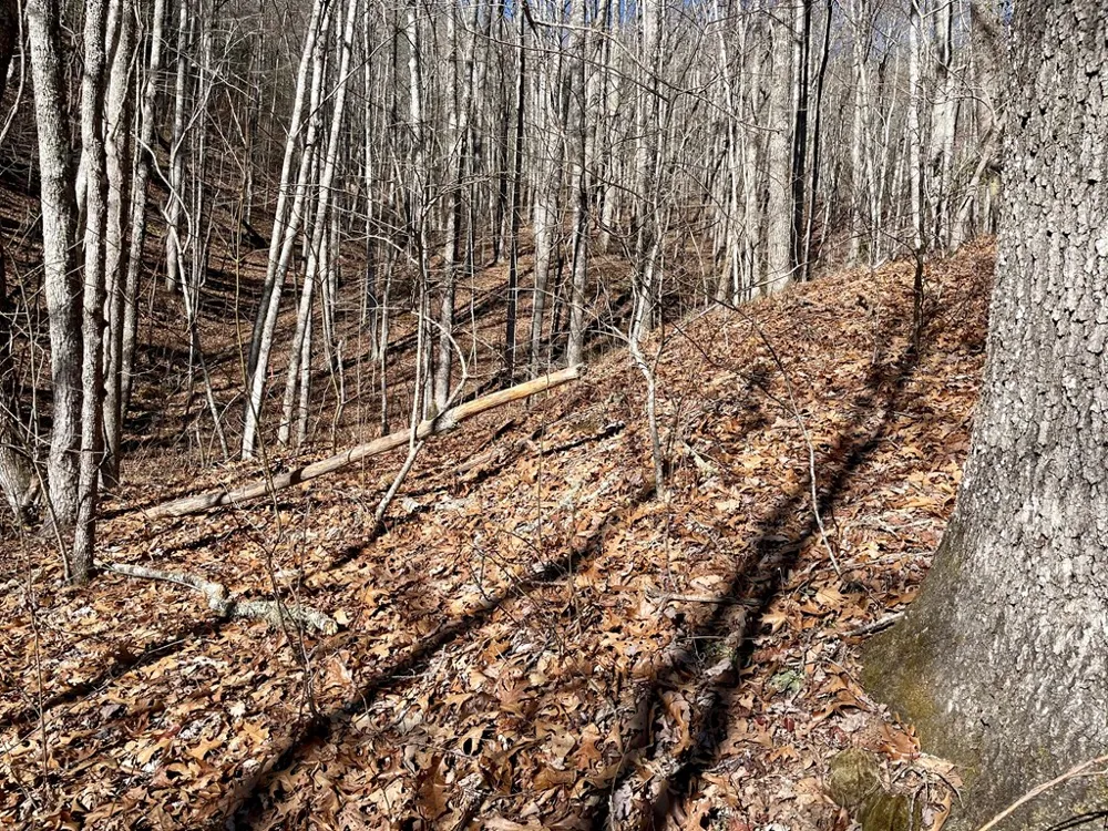Deep Gap View Whittier, NC 28789