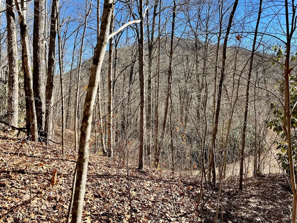 Deep Gap View Whittier, NC 28789