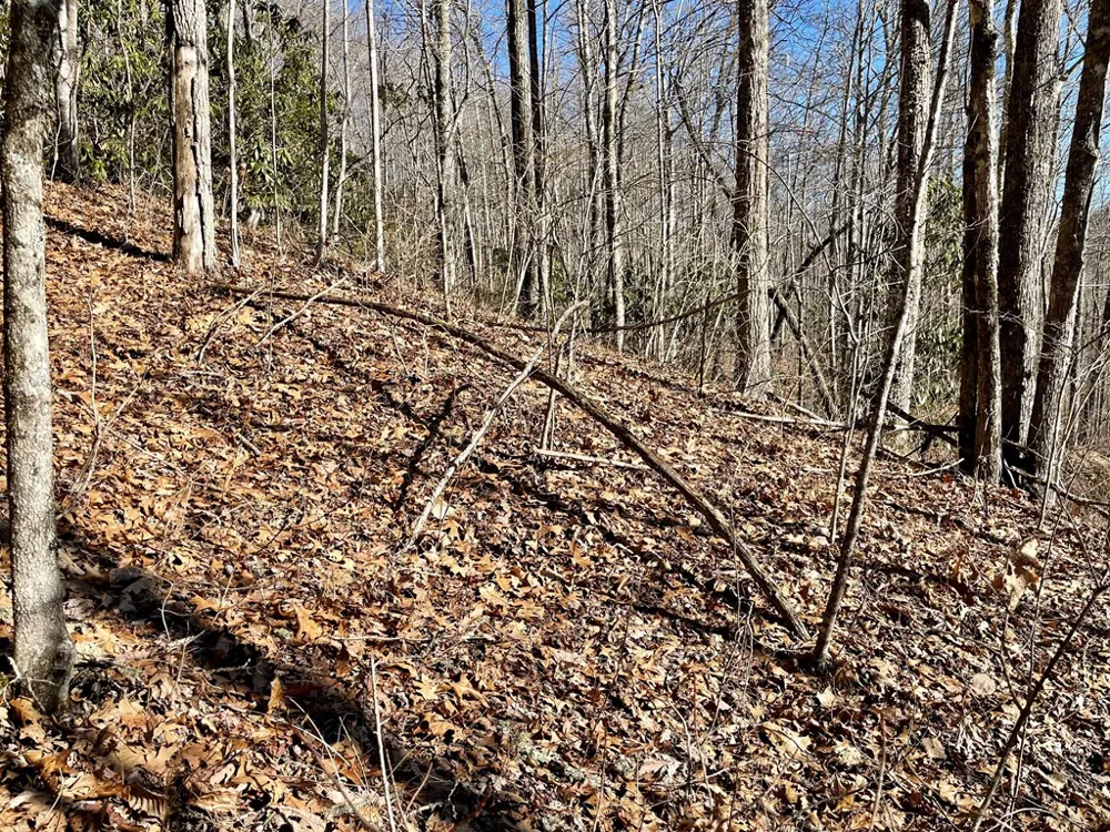 Deep Gap View Whittier, NC 28789