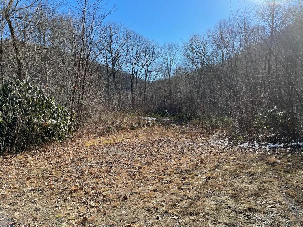 Deep Gap View Whittier, NC 28789
