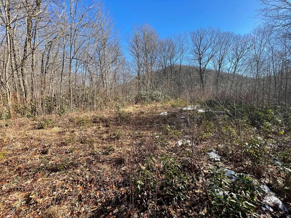 Deep Gap View Whittier, NC 28789