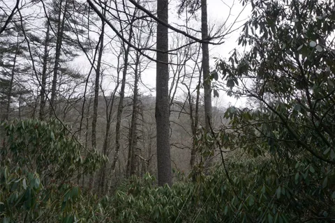 200 Hemlock Drive