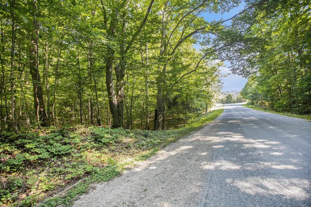 313 Shorewood Drive Crystal Lake Township, MI 49635