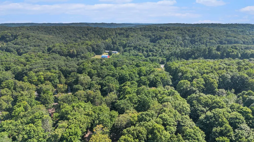 313 Shorewood Drive Crystal Lake Township, MI 49635