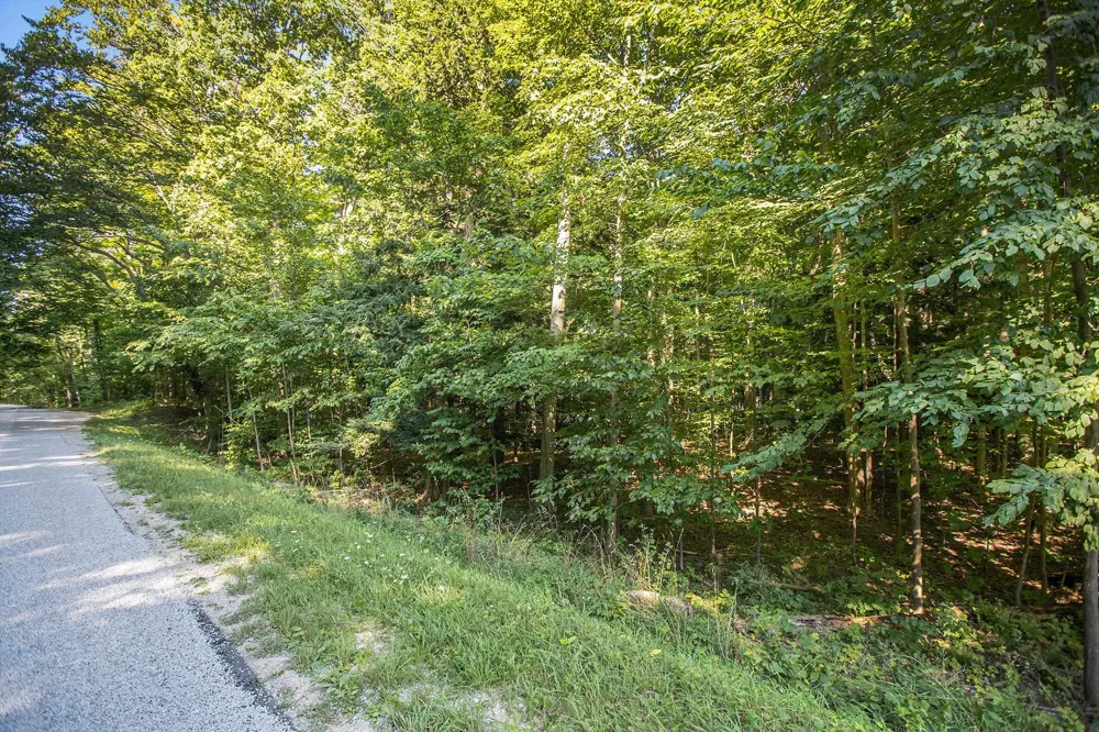 313 Shorewood Drive Crystal Lake Township, MI 49635
