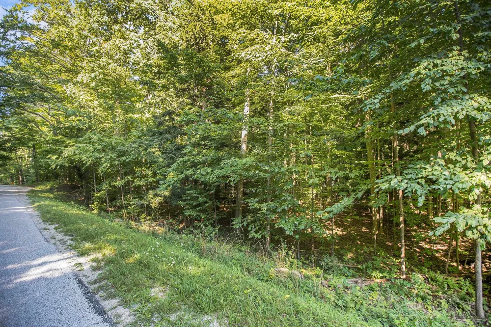 313 Shorewood Drive Crystal Lake Township, MI 49635