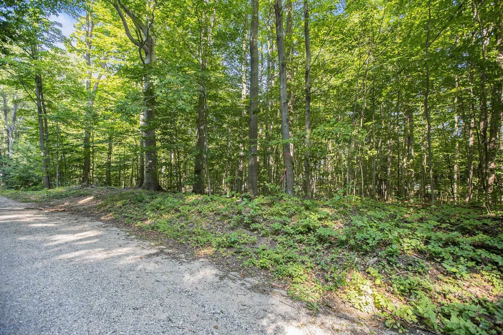 313 Shorewood Drive Crystal Lake Township, MI 49635