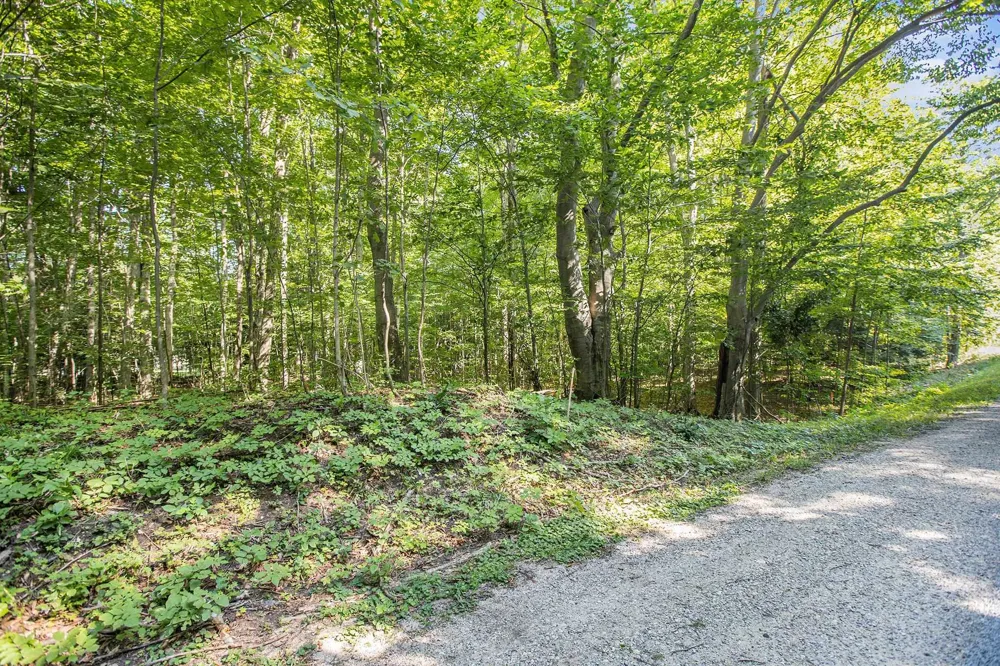 313 Shorewood Drive Crystal Lake Township, MI 49635