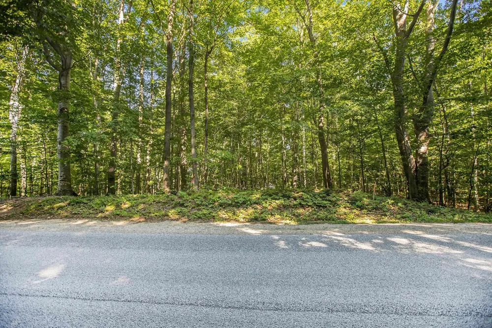 313 Shorewood Drive Crystal Lake Township, MI 49635